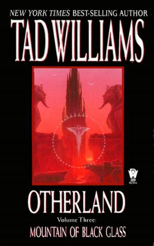 Cover of the book Otherland 3: Mountain of Black Glass by 