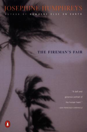 Cover of the book The Fireman's Fair by Daniel José Older