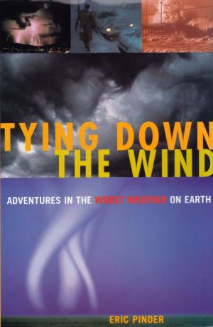Cover of the book Tying Down the Wind by Derek Sivers