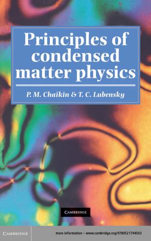 Cover of the book Principles of Condensed Matter Physics by Christine A. Hastorf