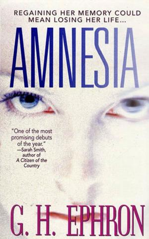 Cover of the book Amnesia by Shamini Flint