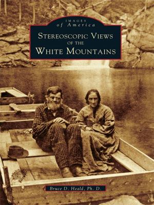 Cover of the book Stereoscopic Views of the White Mountains by Jerry W. Holsworth