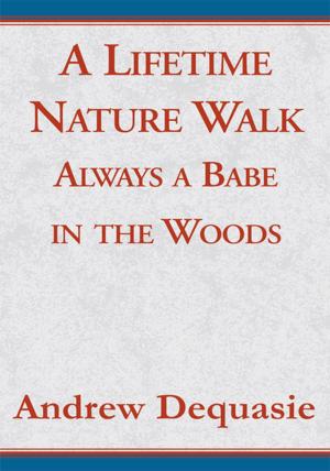 Book cover of A Lifetime Nature Walk