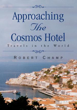 Cover of the book Approaching the Cosmos Hotel by JP Meador