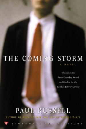 Cover of the book The Coming Storm by Kathryn R. Wall