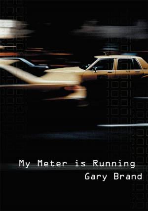 Cover of the book My Meter Is Running by Robert E. Tevis