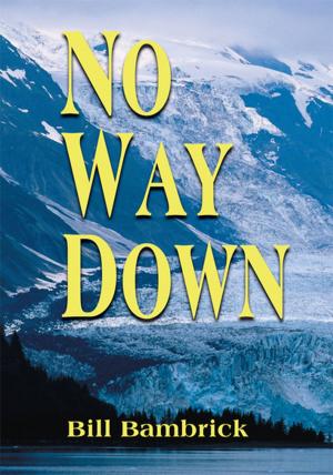 Cover of the book No Way Down by Derek Martyr, Roc Origen