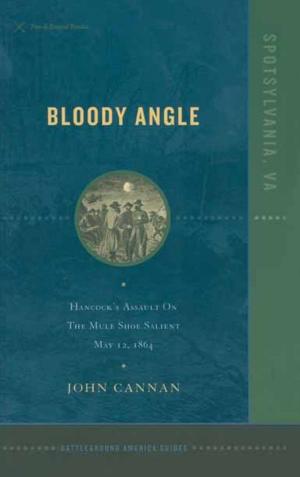 Cover of the book Bloody Angle by Adrian Carton de Wiart
