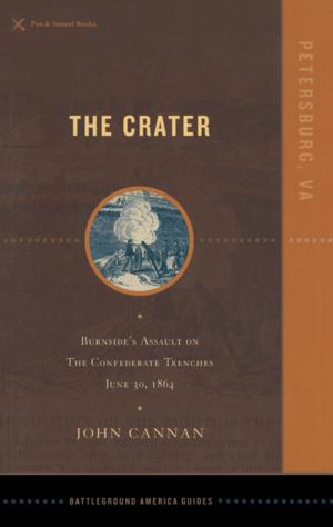 Cover of the book The Crater by Peter Liddle