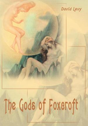 Book cover of The Gods of Foxcroft