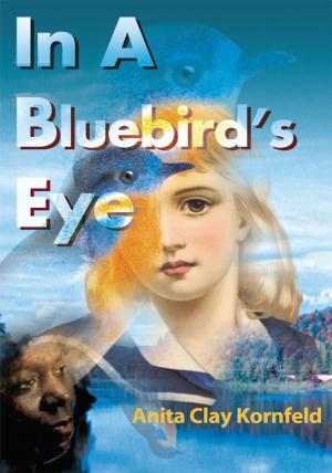 Cover of the book In a Bluebird's Eye by Elaine T. Jones