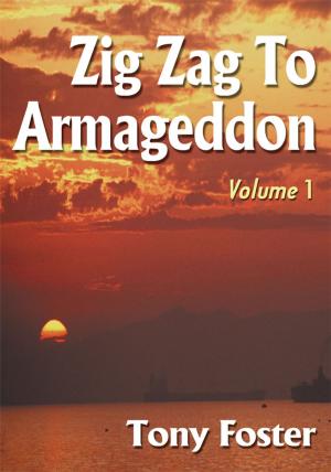 Cover of the book Zig Zag to Armageddon by Kathryn Kimzey Judkins, Elbert David Judkins
