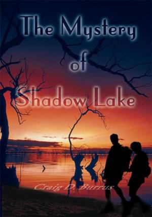 Cover of the book The Mystery of Shadow Lake by W. Bennett