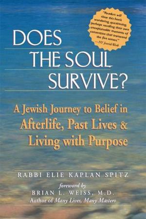 Cover of the book Does the Soul Survive?: A Jewish Journey to Belief in Afterlife, Past Lives & Living with Purpose by Dr. Louis E. Newman
