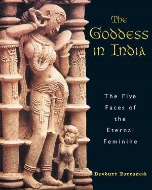 Book cover of The Goddess in India