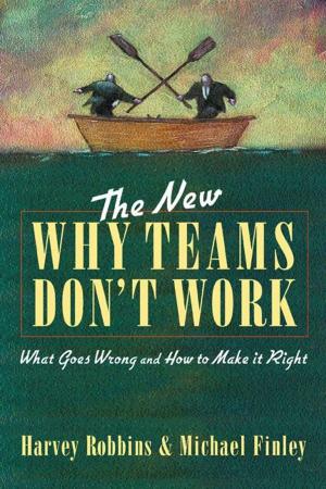 Book cover of The New Why Teams Don't Work