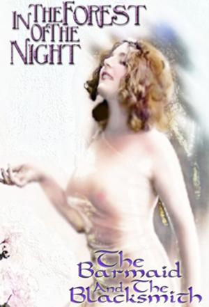 Cover of the book In The Forest of the Night & Barmaid & The Blacksmith by SJ Lewis