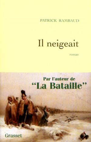 Cover of the book Il neigeait by Alain Bosquet