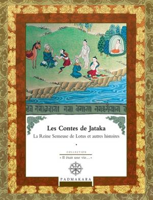bigCover of the book Contes de Jataka - Volume IV by 