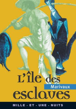 Cover of the book L'Ile des esclaves by Jean-Michel Delacomptée