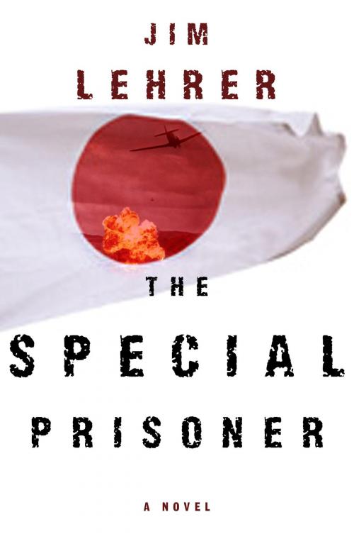 Cover of the book The Special Prisoner by Jim Lehrer, Random House Publishing Group