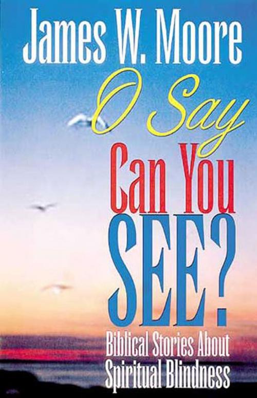 Cover of the book O Say Can You See by Moore, James W., Abingdon Press