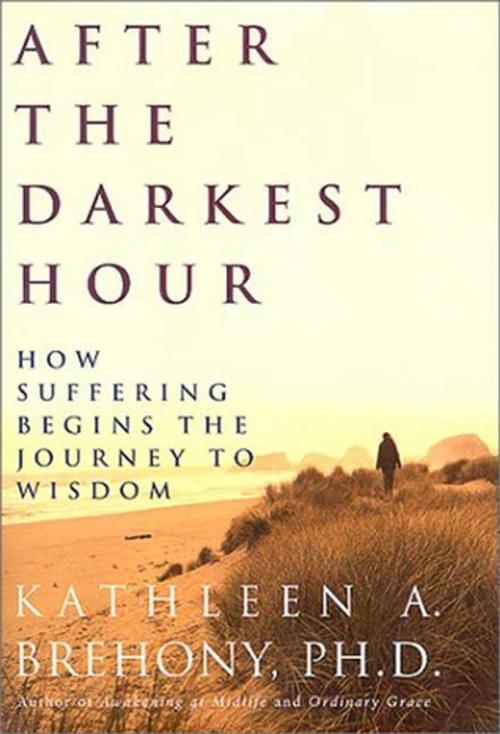Cover of the book After the Darkest Hour by Kathleen A. Brehony, Henry Holt and Co.