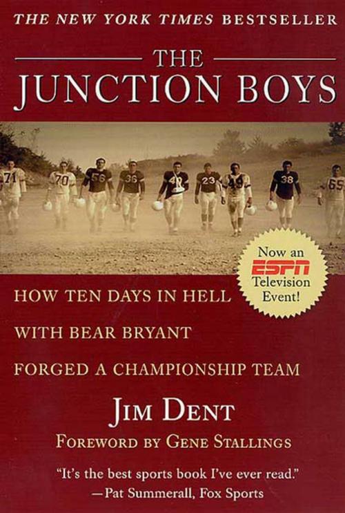 Cover of the book The Junction Boys by Jim Dent, St. Martin's Press