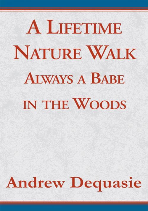 Cover of the book A Lifetime Nature Walk by Andrew Dequasie, Xlibris US
