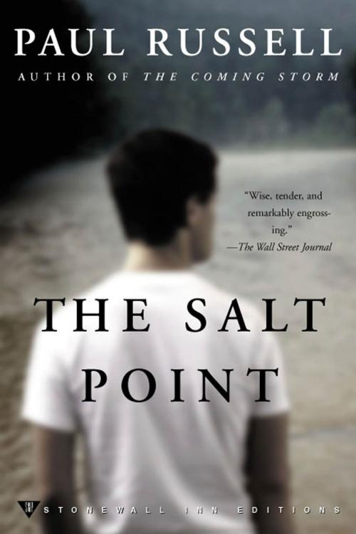 Cover of the book The Salt Point by Paul Russell, St. Martin's Press