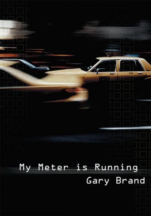 Cover of the book My Meter Is Running by Gary Brand, iUniverse
