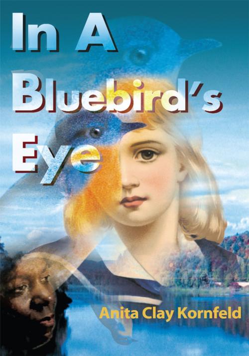 Cover of the book In a Bluebird's Eye by Anita Clay Kornfeld, iUniverse