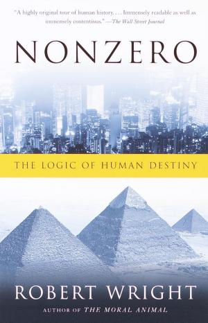 Cover of the book Nonzero by John Somerville, Ronald Santoni