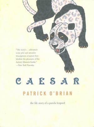 Cover of the book Caesar: The Life Story of a Panda-Leopard by Cindy Goldrich, MEd