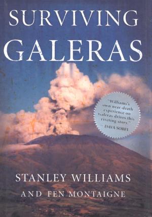 Book cover of Surviving Galeras
