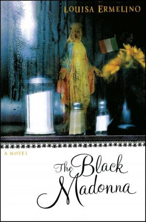 Cover of the book The Black Madonna by Samuel G. Freedman
