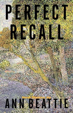 Cover of the book Perfect Recall by Anthony Swofford
