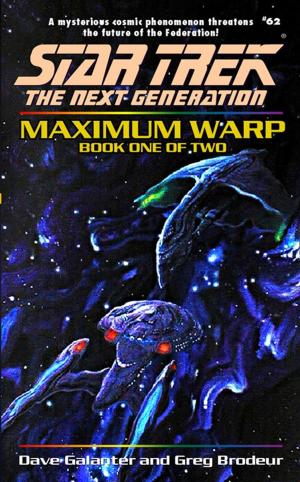 Cover of the book Maximum Warp: Book One by Christopher L. Bennett