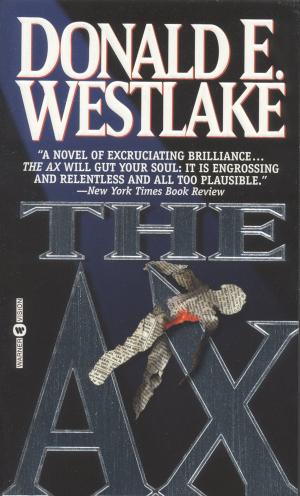 Cover of the book The Ax by Marie Meyer