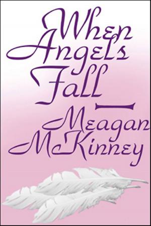 Cover of the book When Angels Fall by Rebecca Zanetti