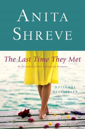 Cover of the book The Last Time They Met by Laurel Doud