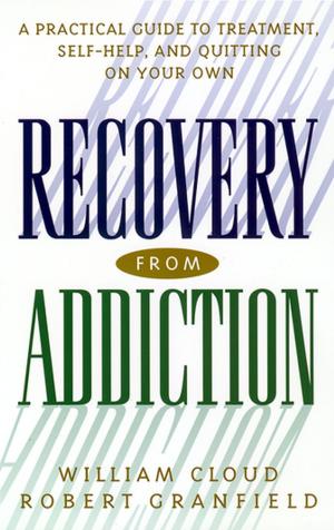 Cover of the book Recovery from Addiction by Carol Fadda-Conrey