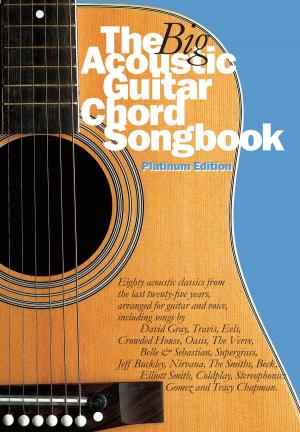 Book cover of The Big Acoustic Guitar Chord Songbook (Platinum Edition)