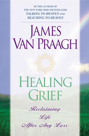 Cover of the book Healing Grief by Laura Sessions Stepp