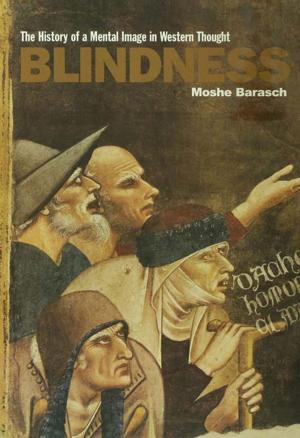 Cover of the book Blindness by Madhavi Desai