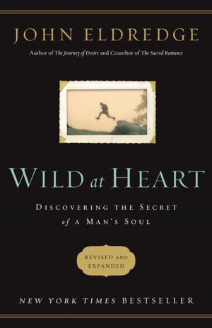 Cover of the book Wild at Heart by Erwin Raphael McManus