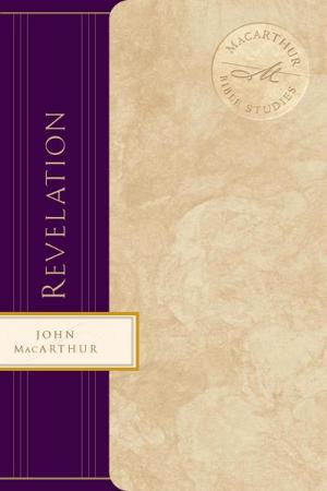 Cover of the book Revelation by Lysa TerKeurst