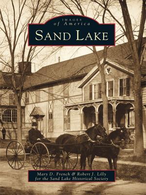 Book cover of Sand Lake