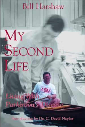 Cover of the book My Second Life by Kathryn Bridge