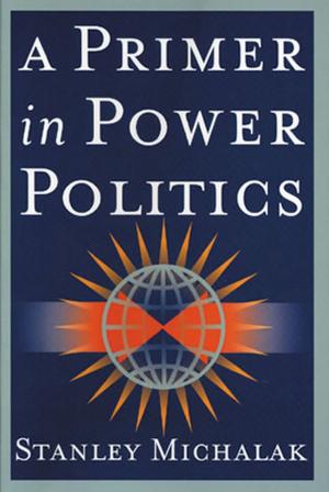 Cover of the book A Primer in Power Politics by Daniel Cunningham, Sean Everton, Philip Murphy